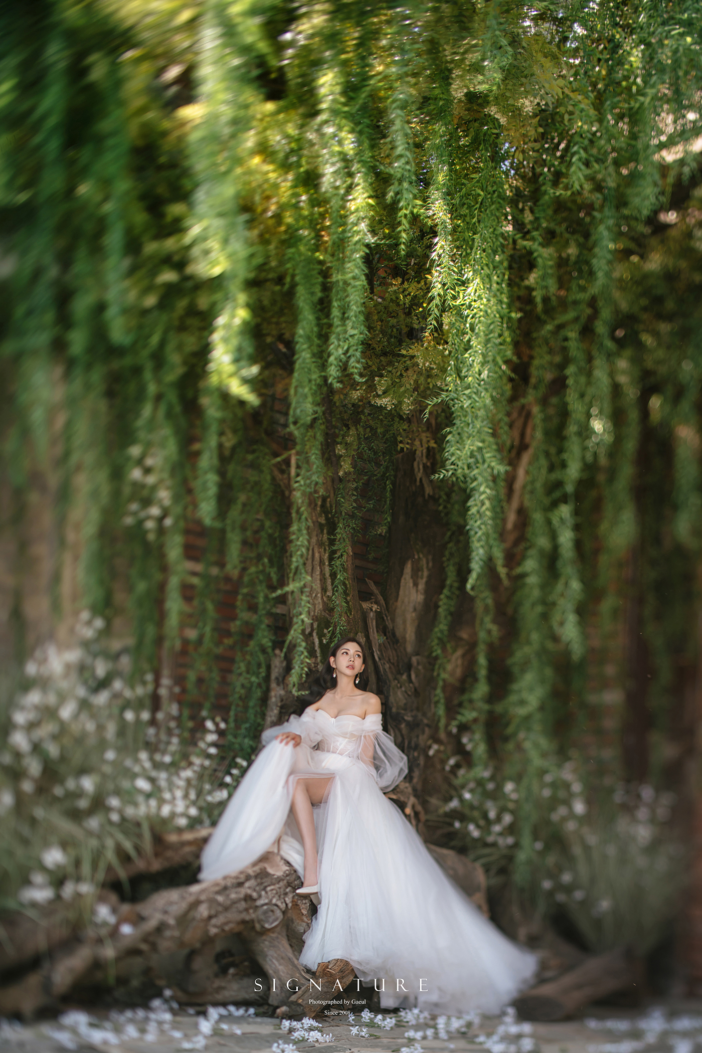 시그니처 샘플 앨범컷 (54)