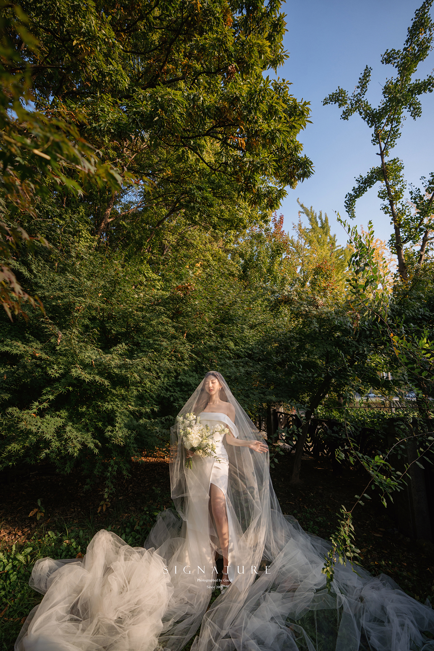 시그니처 샘플 앨범컷 (96)